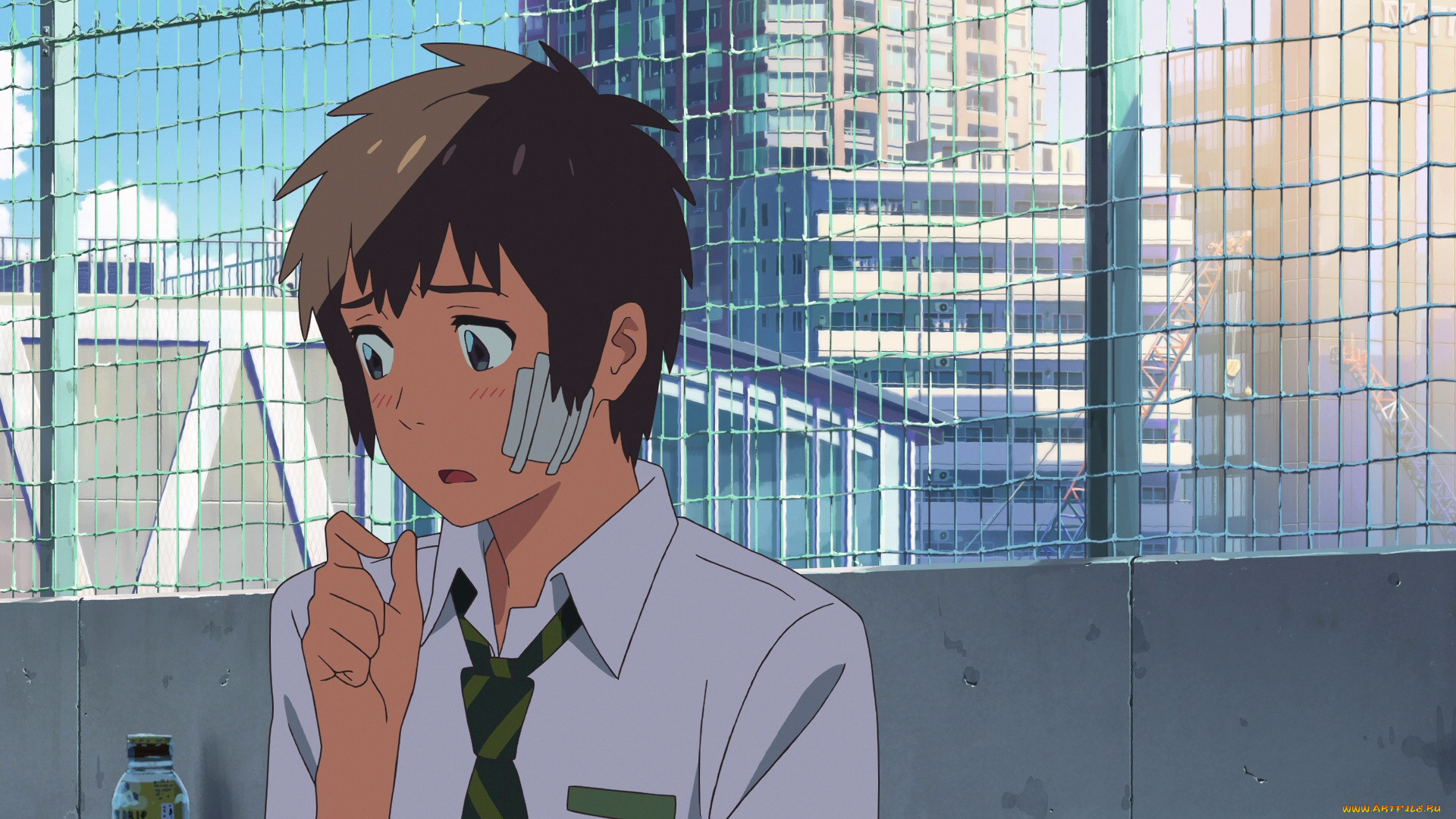 , kimi no na wa, , , 